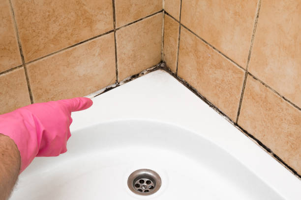 Best Commercial Mold Removal  in Cohoe, AK